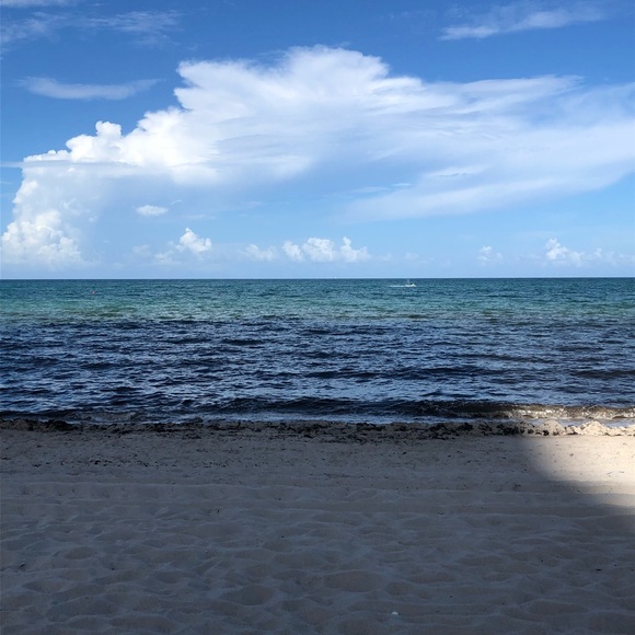 Meet your Posher, Rivka - Picture 1 of 1